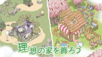 ドリーミーランドの画像