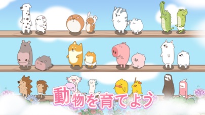 ドリーミーランドの画像