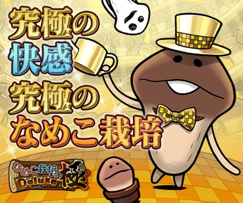 なめこ栽培キットDeluxe 極