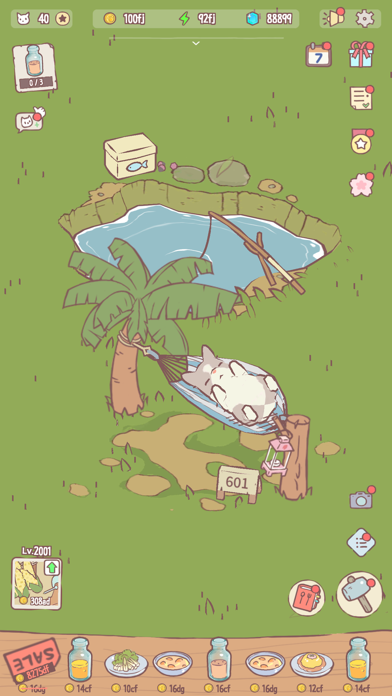 猫とスープの画像