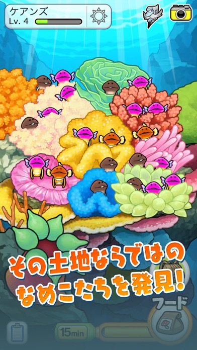 なめこ栽培キット ザ・ワールドの画像