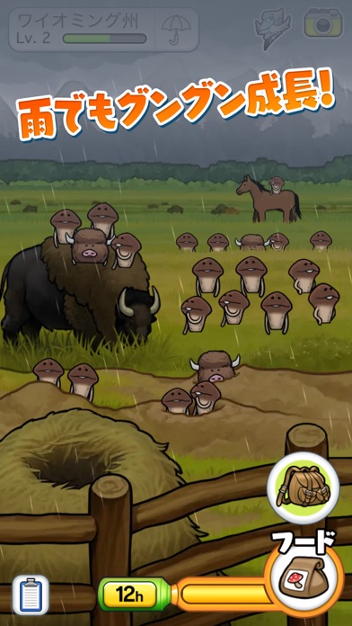 なめこ栽培キット ザ・ワールドの画像