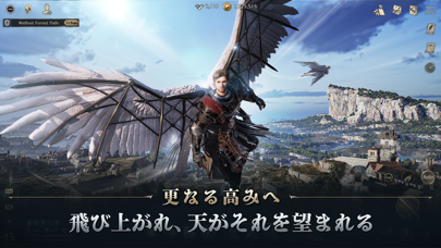 Night Crowsの画像