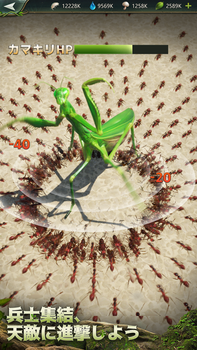 立ち上がれ、アリ帝国の画像