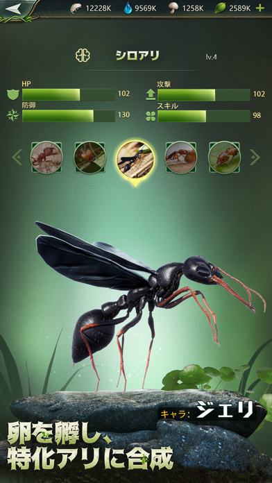 立ち上がれ、アリ帝国の画像