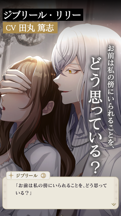 天使と悪魔と恋の宝石の画像