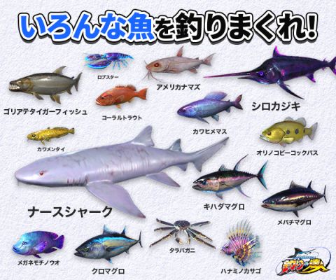 釣りの達人