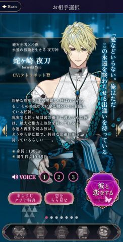 夢幻楼と眠れぬ蝶の画像