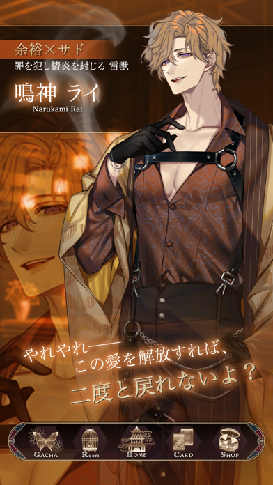 夢幻楼と眠れぬ蝶の画像