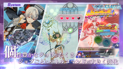 アンジェリカアスターの画像