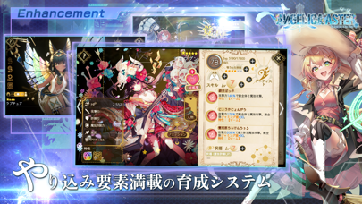 アンジェリカアスターの画像