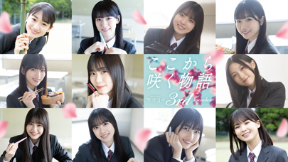 サクコイの画像