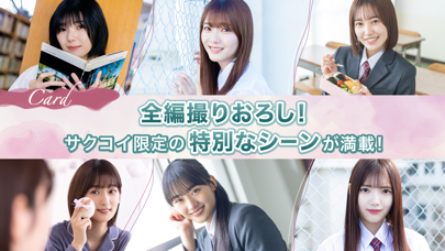 サクコイの画像