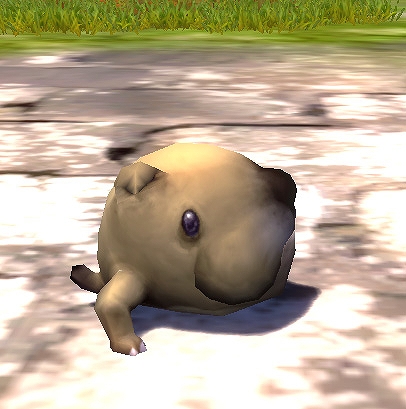 ドラゴンネスト、未来の天才少女「アカデミック」本日実装＆冒険のお供「ペット」追加情報も公開の画像