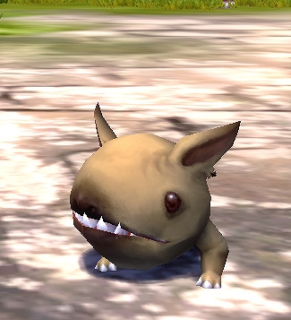 ドラゴンネスト、未来の天才少女「アカデミック」本日実装＆冒険のお供「ペット」追加情報も公開の画像