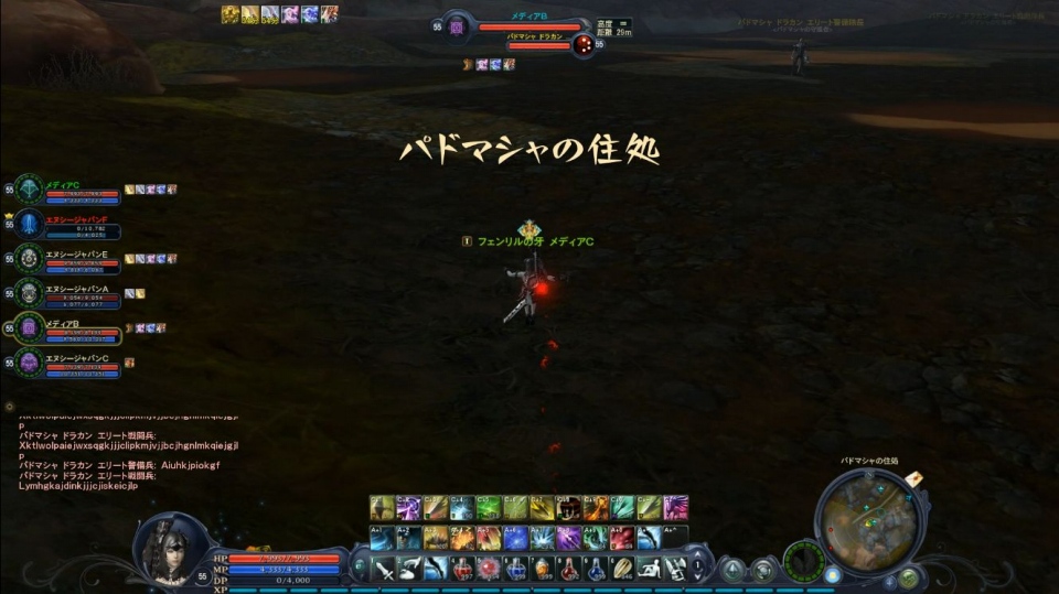 タワー オブ アイオン、「Episode2.7 デュエル オブ ディーヴァ」テストプレイ＆メディア対抗バトルロイヤル実施！惨敗したけど読プレはあり！の画像