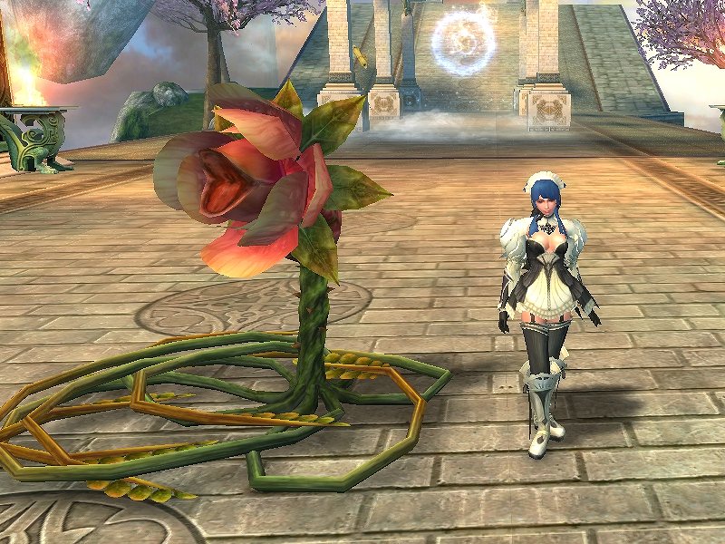 ソードオブリベリオン、ショッピングモールにアイテム追加！レベルキャップ開放アイテム＆新霊獣外観福袋登場の画像