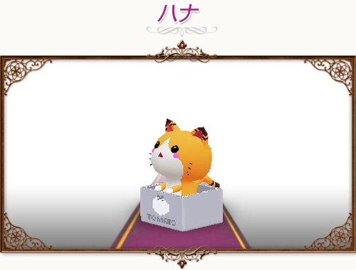 コンチェルトゲート フォルテ、未登場色の衣装や可愛い猫系のペットが続々登場の画像