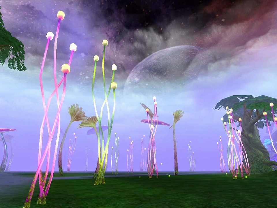 ナタルオンライン、1st UPDATE「昏き森の胎動」実装決定！特設サイトにて情報公開第1弾として新エリア「ダークウッド」が公開の画像