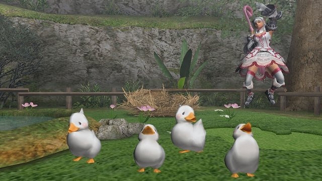 モンスターハンターフロンティアオンライン、大型アップデート「フォワード.4」の続報を公開！新モンスター・クアルセプスや秘伝書ハンター向けの新コンテンツも登場の画像