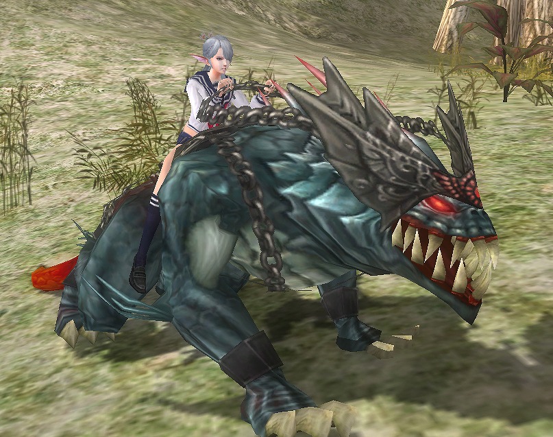 ロハン、新規ユーザー応援キャンペーンなどを含む多数のキャンペーンを開催！の画像