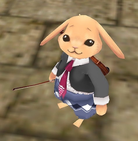 マスター・オブ・エピック、かわいらしいしぐさと表情が魅力的な楽器演奏ペット「ギタークマ」と「ヴァイオリン ウサギ」が登場の画像