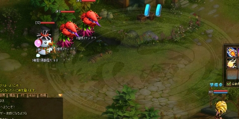 ソラノヴァ、12月19日よりクリスマスイベントを開催の画像