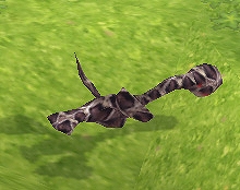 M2-神甲天翔伝-、年末年始はイベント盛りだくさん！お正月イベントや新規応援、さらに新たなボス討伐イベントもの画像