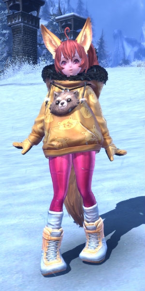 TERA、ウィンタースポーツにピッタリなボードウェアアバターなどが当たる新TERAガチャを実装の画像