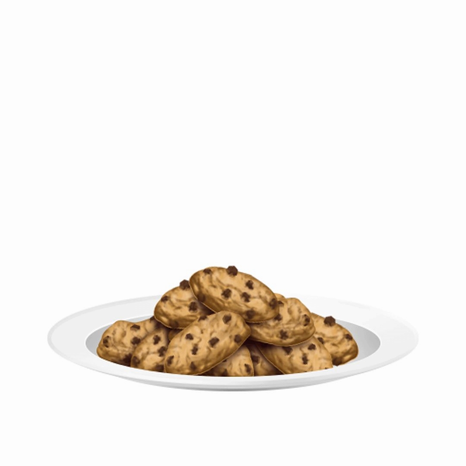 キャラフレ、ホワイトデーイベント開催！卒業後の進路についても公開の画像