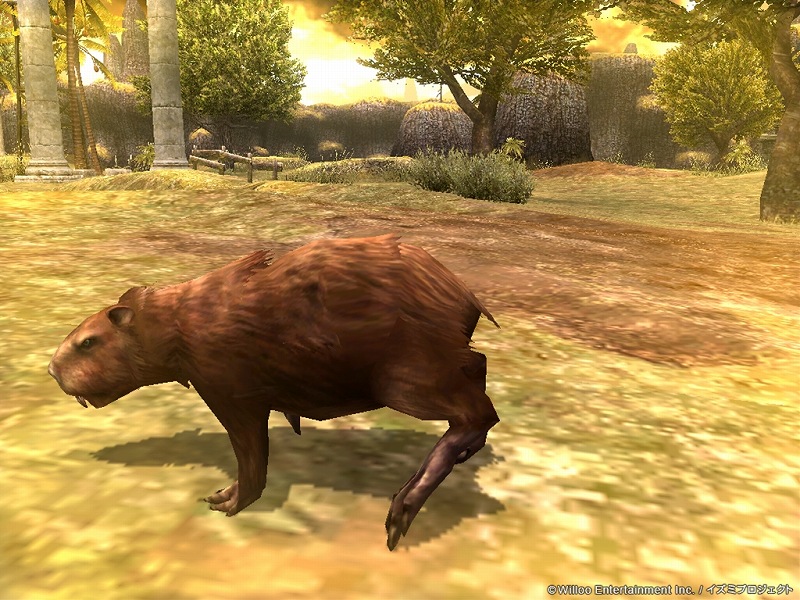 パンドラサーガ、「ホワイトデーイベント」を開催！ホワイトデー限定アイテム「ホワイトチコチョコ帽子」を実装の画像