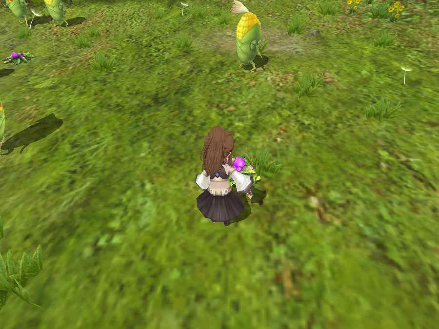 碧空のグレイス、オープンβテストで追加される「ギルド領地」などの新コンテンツを一挙公開の画像