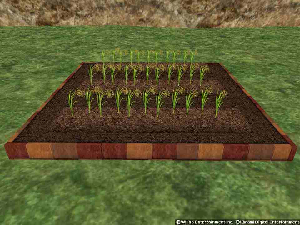 マスター・オブ・エピック、新システム「栽培」で収穫できる作物の情報を公開の画像