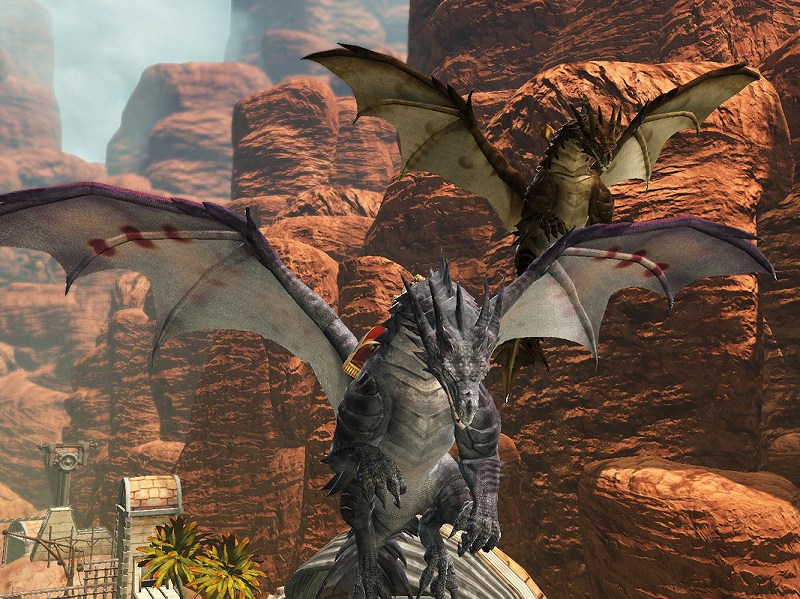 ドラゴンズプロフェット、CBTクライアントの先行ダウンロードを開始！ドラゴンやアバターなどが付属する「アエリアポイントスペシャルボーナス」を開催の画像