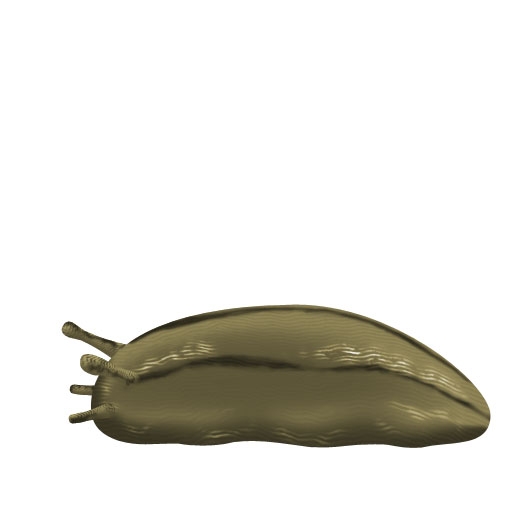 キャラフレ、「第一回水着デザインコンテスト」が開催！「紫陽花まつり」を実施の画像