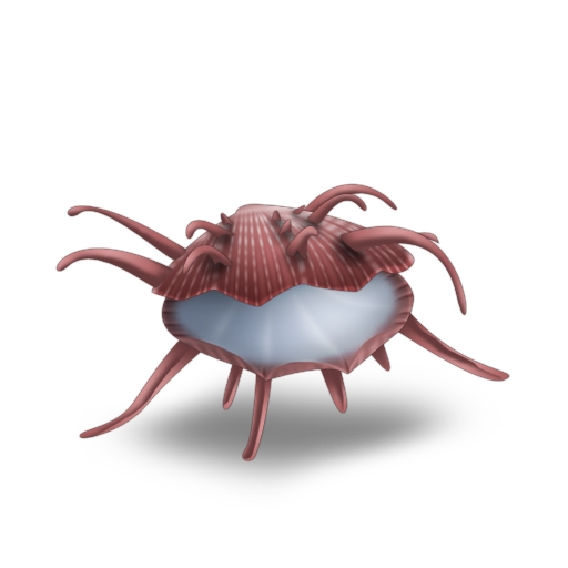 キャラフレ、「MIND≒0」とのコラボレーションが開始！水着姿の西園寺先生が登場する臨海学校イベントも開催の画像