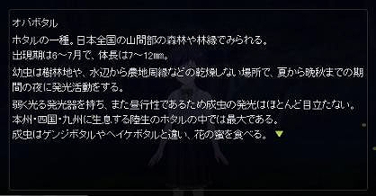 キャラフレ、7月いっぱい遊ぶことができる野外イベント「林間学校」開催！「ハナマルラジオ＃3」7月20日17時より公開の画像