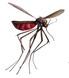 カウンターストライクオンライン、全国大会「CSOJC 2013」が開催決定！4周年記念イベントを実施の画像