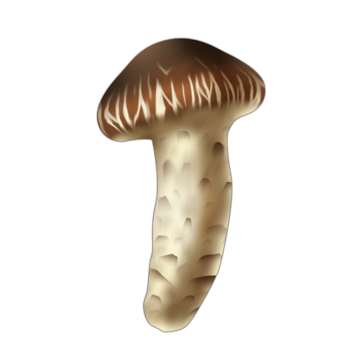 キャラフレ、きのこ料理を作る「天翔山きのこ狩りハイキングイベント」がスタートの画像