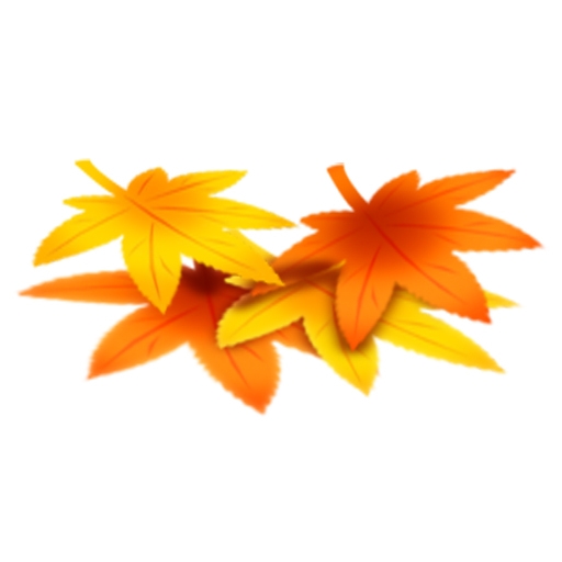 キャラフレ、きのこ料理を作る「天翔山きのこ狩りハイキングイベント」がスタートの画像