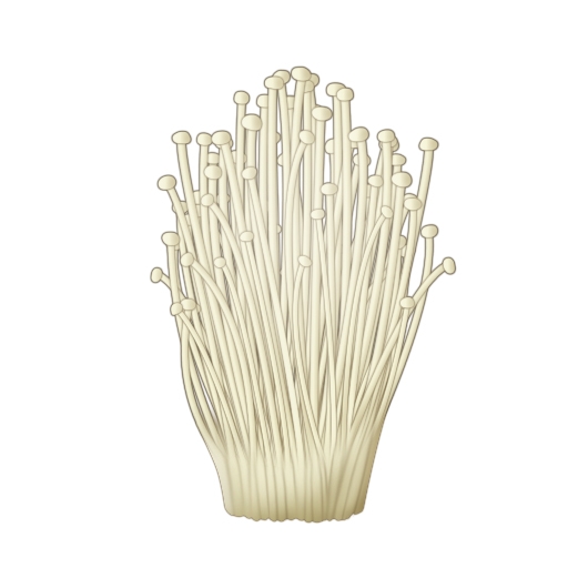 キャラフレ、きのこ料理を作る「天翔山きのこ狩りハイキングイベント」がスタートの画像