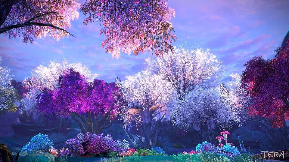 TERA、ニコニコ生放送「TERAの歩き方」第7回が本日20時より配信の画像