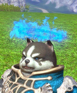 TERA、ガチャにかわいいサンタ服アバター「ハッピーノエルウェア」が登場！第二次アルボレア雪合戦＆冬の3大イベントもスタートの画像