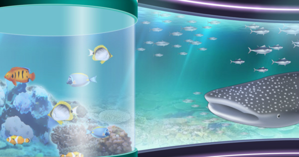 キャラフレ、ジンベイザメやマンタなどが登場する新スポット「アクアリウム」オープン！の画像