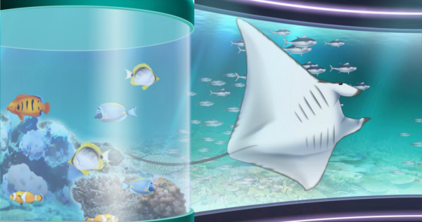 キャラフレ、ジンベイザメやマンタなどが登場する新スポット「アクアリウム」オープン！の画像