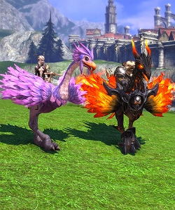 TERA、年末年始限定TERAガチャスペシャル「お楽しみボックス 2013」登場の画像