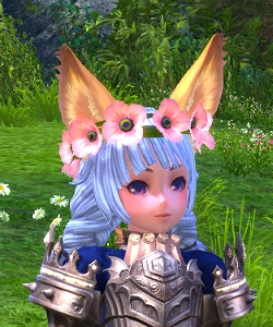 TERA、日本初となる新クラスの情報などが公開！「TERA の歩き方 特別編」本日19時より放送！TERAガチャに「こぶたなのりもの」登場の画像