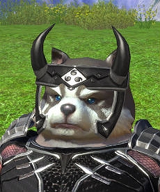 TERA、ガチャに忍者アバター「桜花月影」が登場！の画像