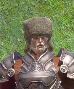 TERA、便利な乗り物やアバターアイテムなど豪華景品が当たる「エリーンキャッチャーPART2」＆「ウィッチーズバレンタイン DX」イベント実施の画像