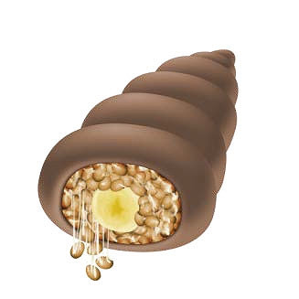 キャラフレ、「ホワイトデー」にちなんだスペシャルイベントが開催中！「卒業旅行」の季節も到来の画像